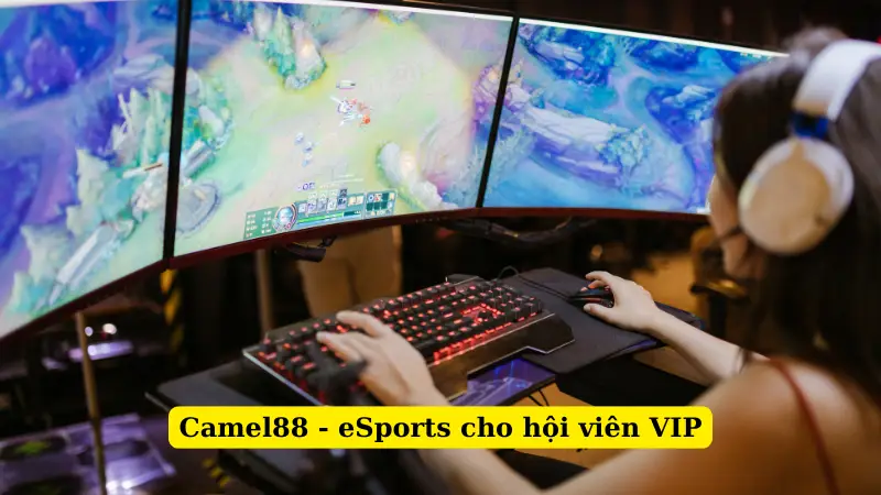 Camel88 - eSports cho hội viên VIP